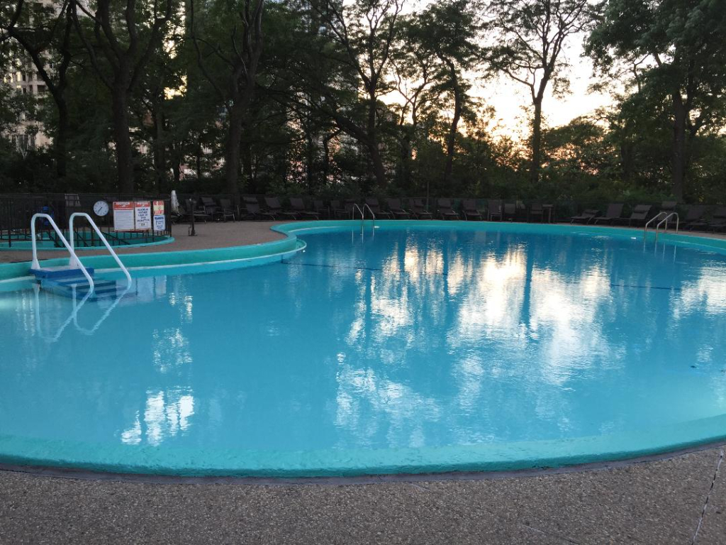 505 N Lake Shore Drive APT1006
