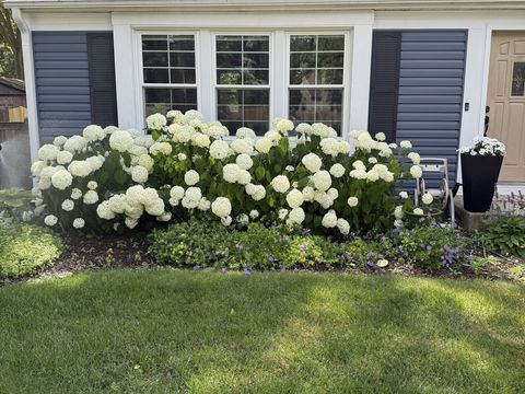 Tiny photo for Naperville, IL 60565 (MLS # 12508858)