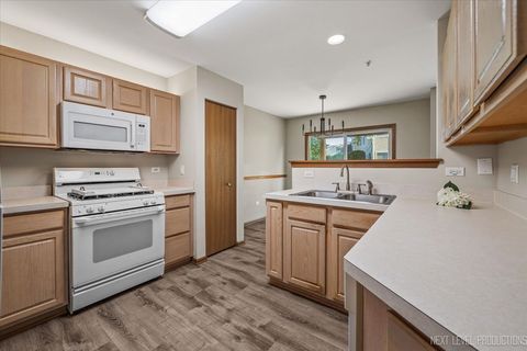 Tiny photo for 13865 S Balsam Lane #D, Plainfield, IL 60544 (MLS # 12497061)