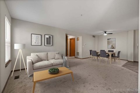 Tiny photo for 13865 S Balsam Lane #D, Plainfield, IL 60544 (MLS # 12497061)