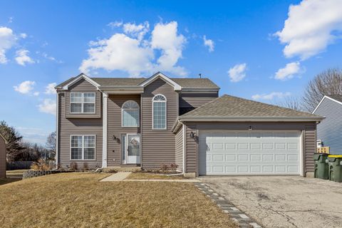 Photo of 7 Elizabeth Court, Lake In The Hills, IL 60156 (MLS # 12579879)