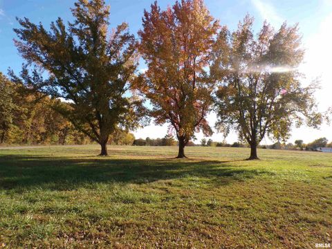 Tiny photo for 1117 Puxico Road, Percy, IL 62272 (MLS # EB460408)