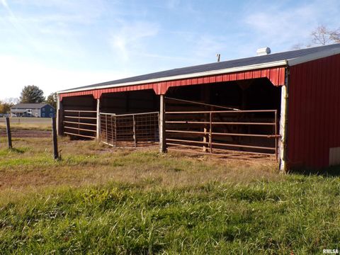 Tiny photo for 1117 Puxico Road, Percy, IL 62272 (MLS # EB460408)