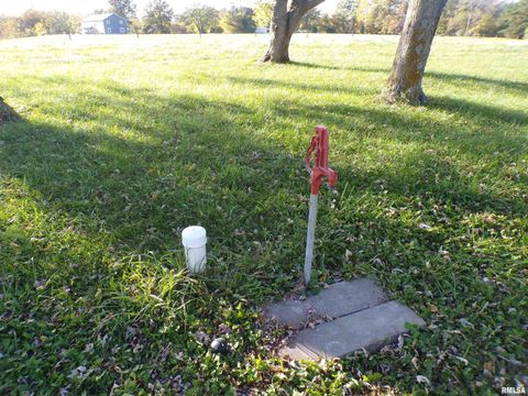 Tiny photo for 1117 Puxico Road, Percy, IL 62272 (MLS # EB460408)