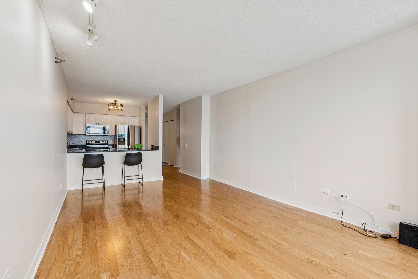 Chicago, Illinois 60611, United States, 1 Bedroom Bedrooms, ,1 BathroomBathrooms,Residential,Active,231538