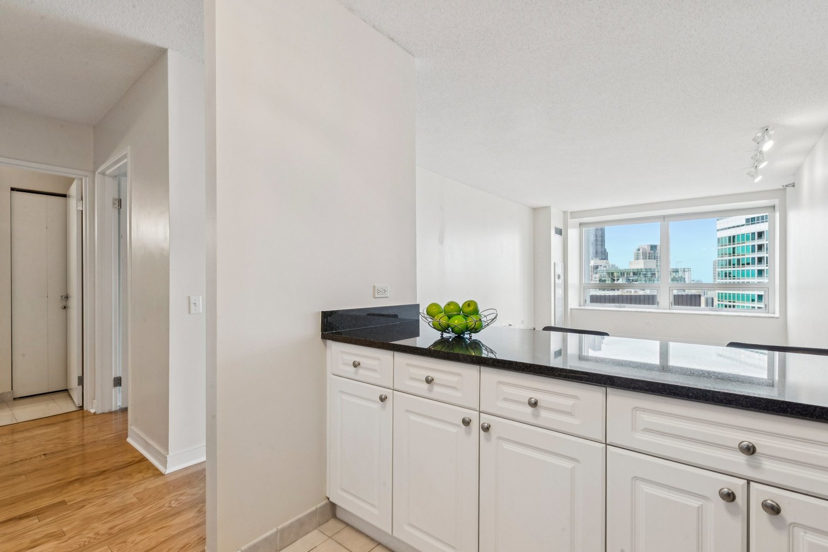 Chicago, Illinois 60611, United States, 1 Bedroom Bedrooms, ,1 BathroomBathrooms,Residential,Active,231538