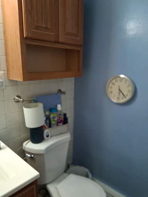 Tiny photo for 6950 S CREGIER Avenue #I, Chicago, IL 60649 (MLS # 12632142)