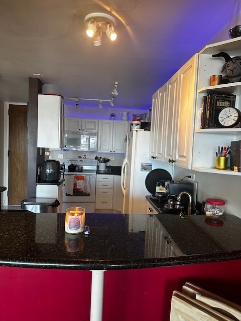 720 W GORDON Terrace 10L