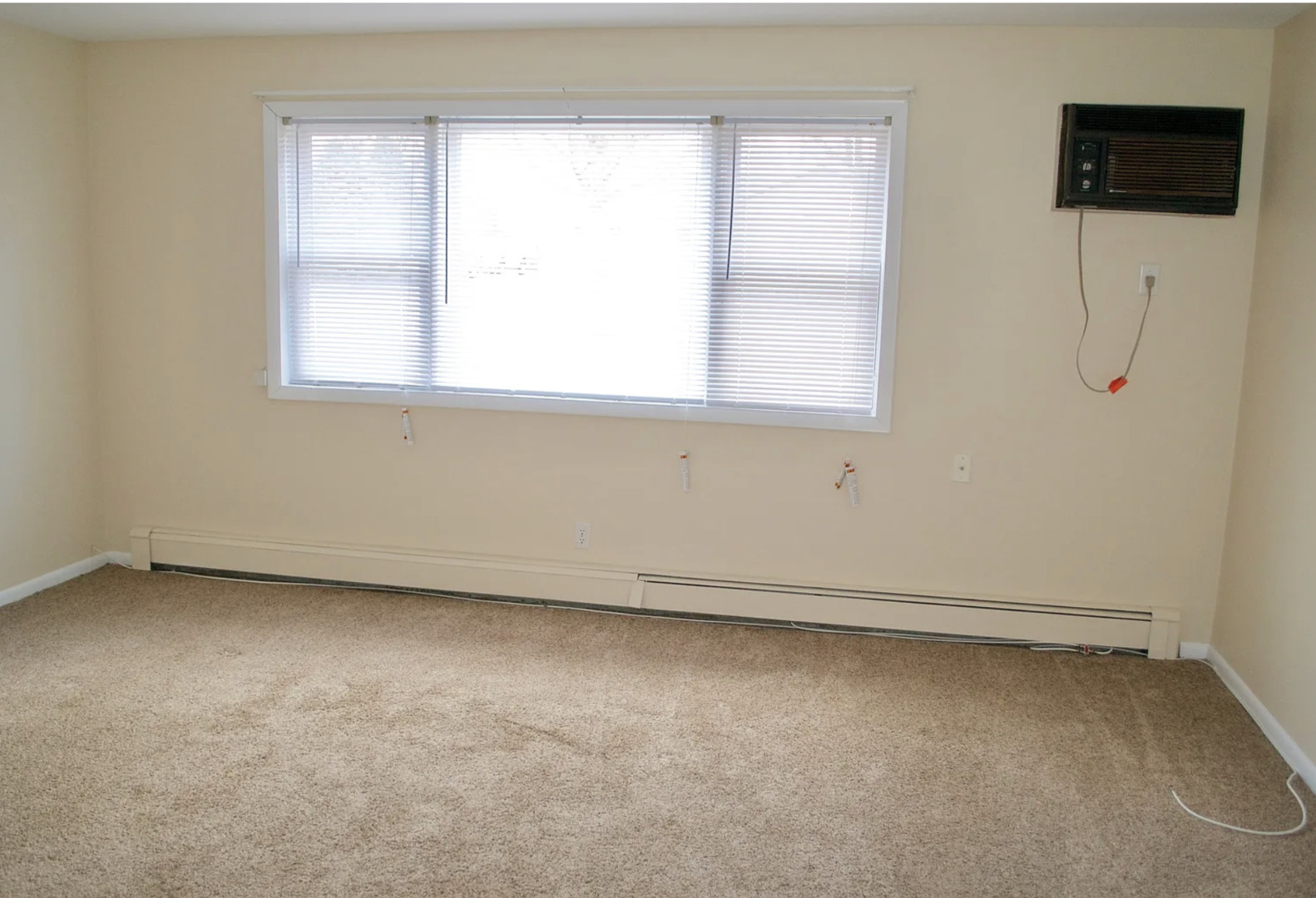 24119 W Hazelcrest Drive 100