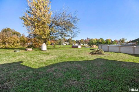 Tiny photo for 104 E LOCUST Street, Galatia, IL 62935 (MLS # QC4269192)