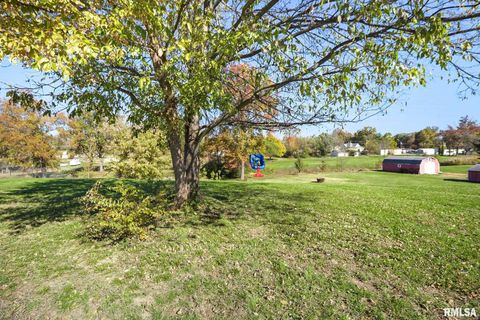 Tiny photo for 104 E LOCUST Street, Galatia, IL 62935 (MLS # QC4269192)