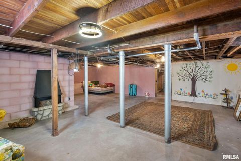 Tiny photo for 202 W WILLIAMS Street, Atkinson, IL 61235 (MLS # QC4269958)