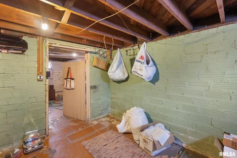 Tiny photo for 202 W WILLIAMS Street, Atkinson, IL 61235 (MLS # QC4269958)