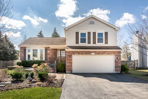 1136 Stanton Road Lake Zurich IL 60047