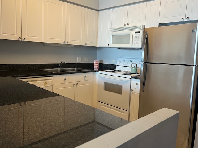 512 N McClurg Court 5306