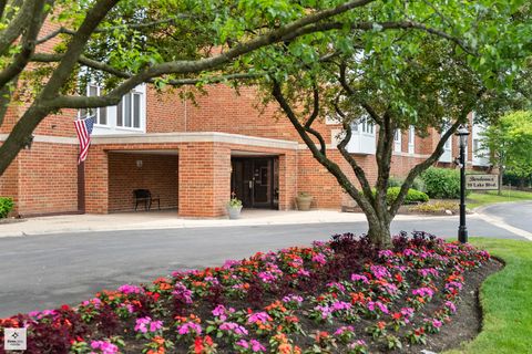Tiny photo for 50 LAKE Boulevard #632, Buffalo Grove, IL 60089 (MLS # 12492849)