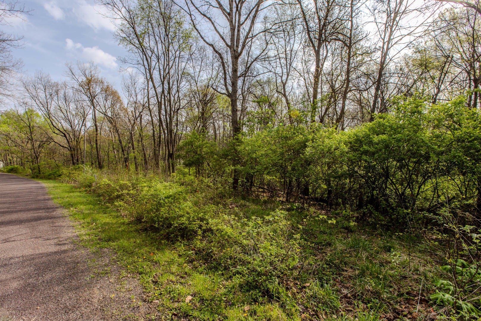 56,57 Summit Drive