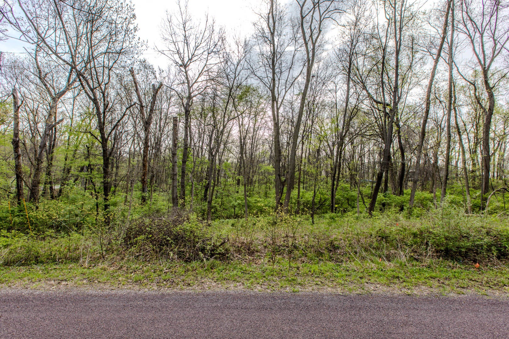 56,57 Summit Drive