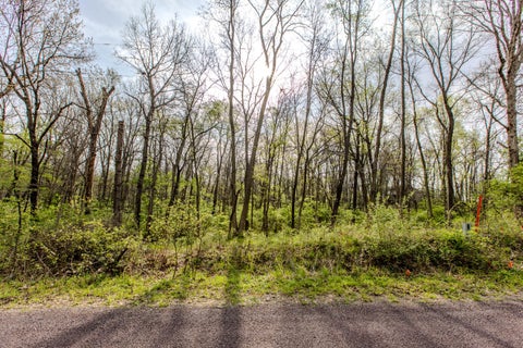 MLS: 12621060