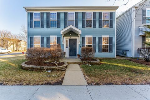 Photo of 813 Serendipity Drive, Aurora, IL 60504 (MLS # 12570198)