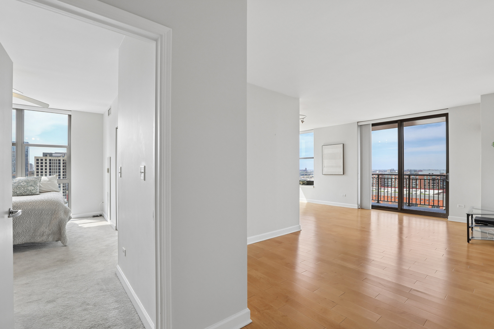 1101 S State Street 1607