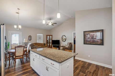 Tiny photo for 2406 13TH Street, Silvis, IL 61282 (MLS # QC4269441)