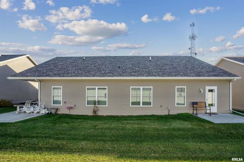 Tiny photo for 2406 13TH Street, Silvis, IL 61282 (MLS # QC4269441)