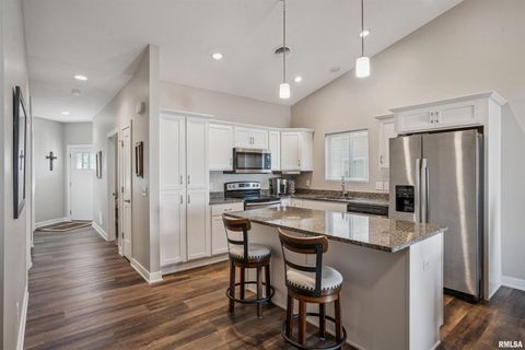 Tiny photo for 2406 13TH Street, Silvis, IL 61282 (MLS # QC4269441)