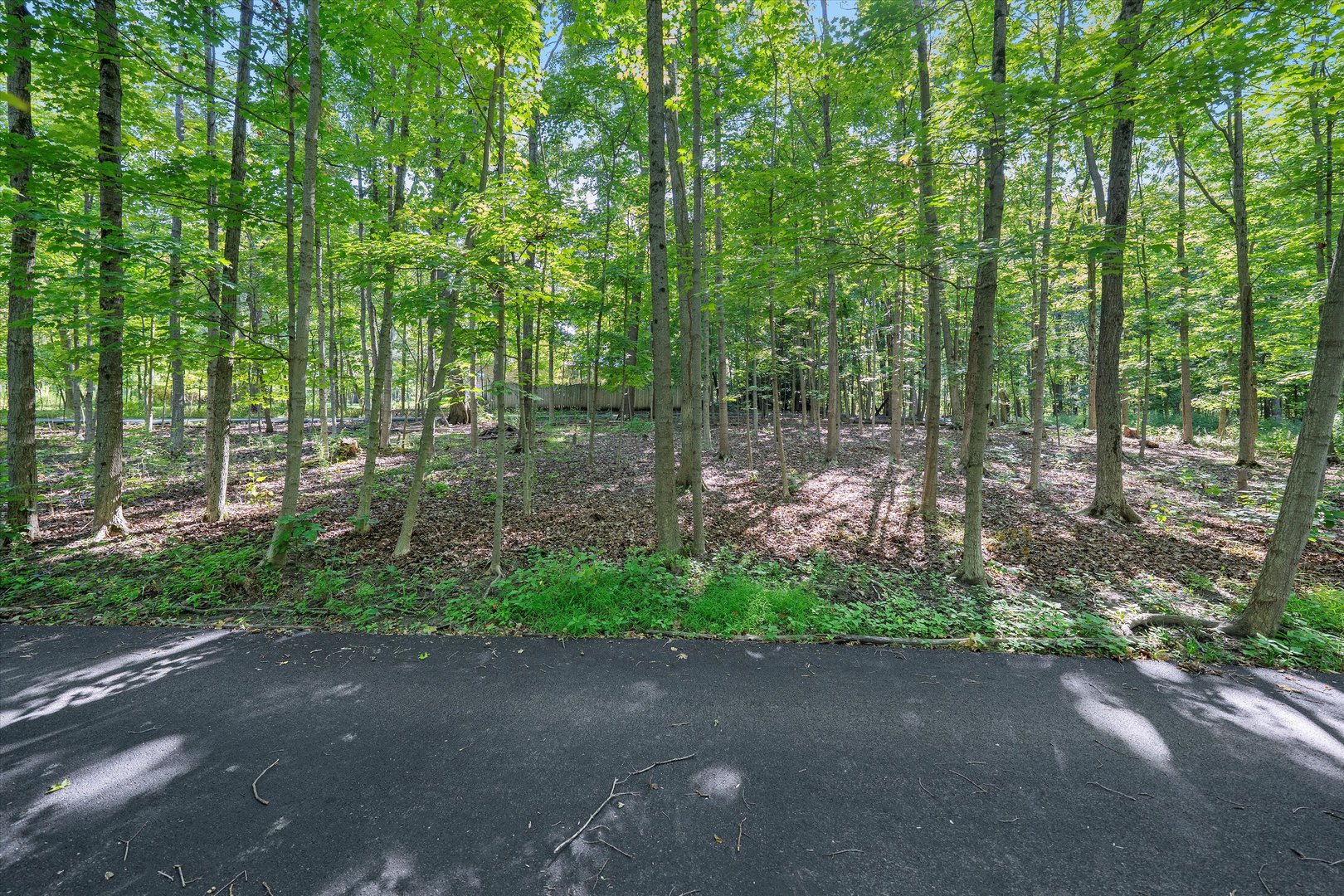 832 Ironwood LOT 3 Drive