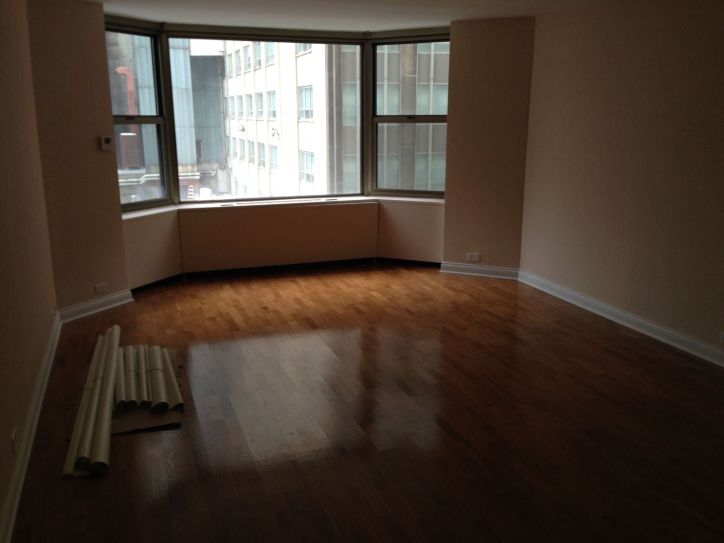 535 N Michigan Avenue 506