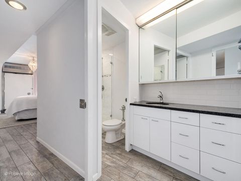 Tiny photo for Chicago, IL 60654 (MLS # 12616930)