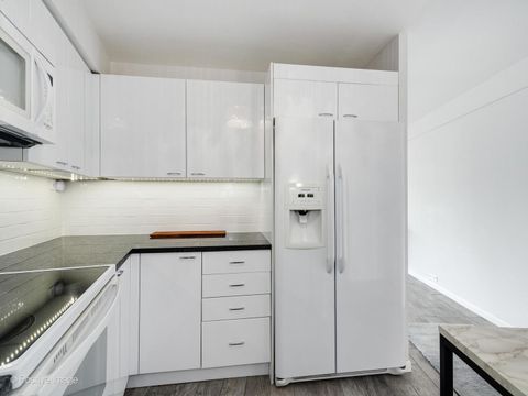 Tiny photo for Chicago, IL 60654 (MLS # 12616930)