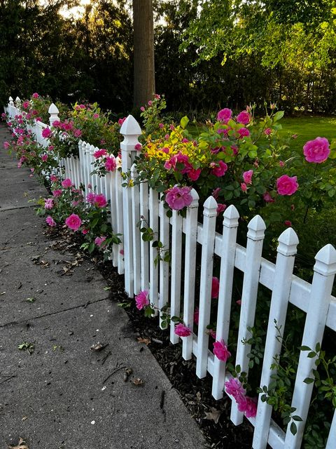 Tiny photo for 301 N Main Street, Alexis, IL 61412 (MLS # 12578620)