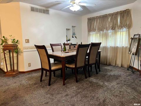 Tiny photo for 2372 LOGAN Street, Murphysboro, IL 62966 (MLS # EB460420)