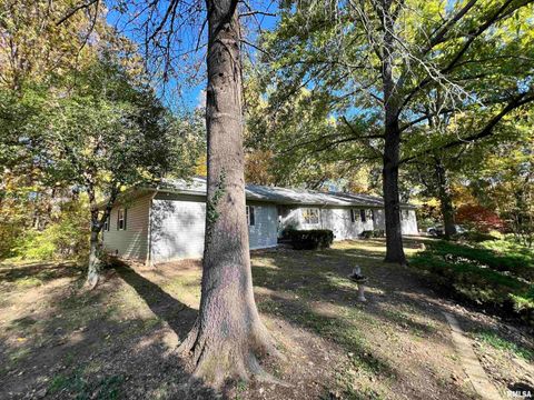 Tiny photo for 2372 LOGAN Street, Murphysboro, IL 62966 (MLS # EB460420)