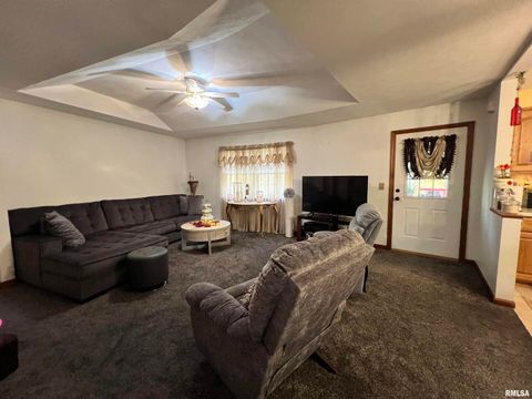 Tiny photo for 2372 LOGAN Street, Murphysboro, IL 62966 (MLS # EB460420)