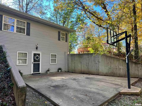 Tiny photo for 2372 LOGAN Street, Murphysboro, IL 62966 (MLS # EB460420)