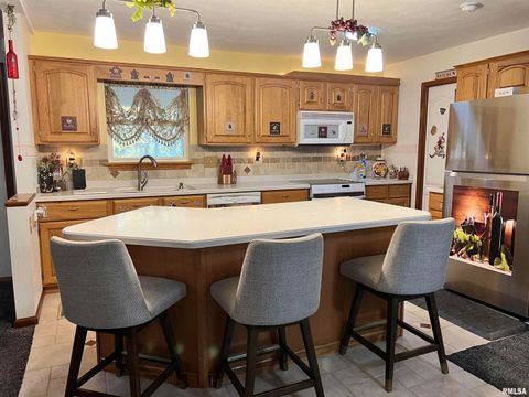 Tiny photo for 2372 LOGAN Street, Murphysboro, IL 62966 (MLS # EB460420)