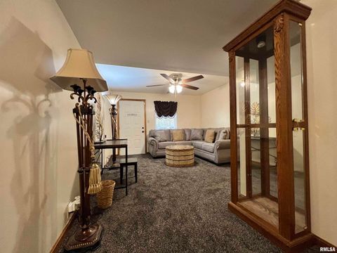 Tiny photo for 2372 LOGAN Street, Murphysboro, IL 62966 (MLS # EB460420)