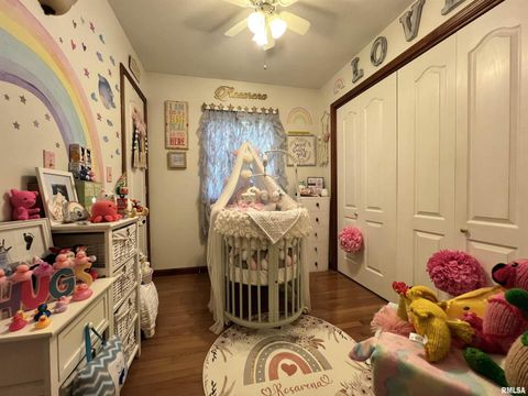 Tiny photo for 2372 LOGAN Street, Murphysboro, IL 62966 (MLS # EB460420)