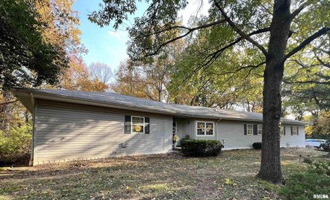 Tiny photo for 2372 LOGAN Street, Murphysboro, IL 62966 (MLS # EB460420)