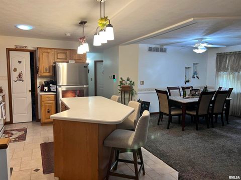 Tiny photo for 2372 LOGAN Street, Murphysboro, IL 62966 (MLS # EB460420)