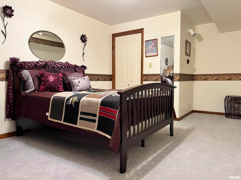 Tiny photo for 2372 LOGAN Street, Murphysboro, IL 62966 (MLS # EB460420)