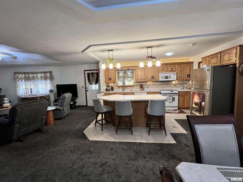 Tiny photo for 2372 LOGAN Street, Murphysboro, IL 62966 (MLS # EB460420)