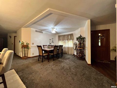 Tiny photo for 2372 LOGAN Street, Murphysboro, IL 62966 (MLS # EB460420)