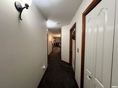 Tiny photo for 2372 LOGAN Street, Murphysboro, IL 62966 (MLS # EB460420)