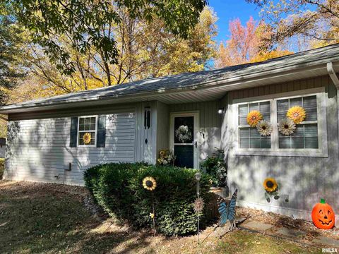 Tiny photo for 2372 LOGAN Street, Murphysboro, IL 62966 (MLS # EB460420)