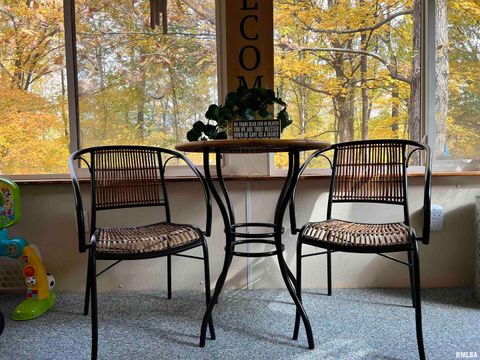 Tiny photo for 2372 LOGAN Street, Murphysboro, IL 62966 (MLS # EB460420)