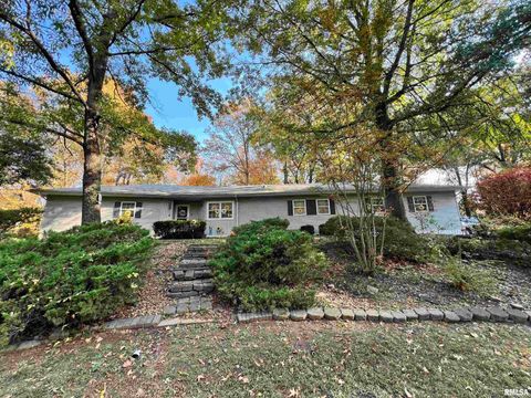 Tiny photo for 2372 LOGAN Street, Murphysboro, IL 62966 (MLS # EB460420)