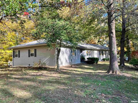 Tiny photo for 2372 LOGAN Street, Murphysboro, IL 62966 (MLS # EB460420)